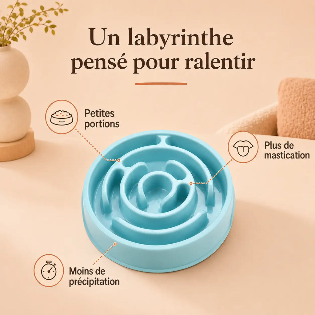 Gamelle anti-glouton