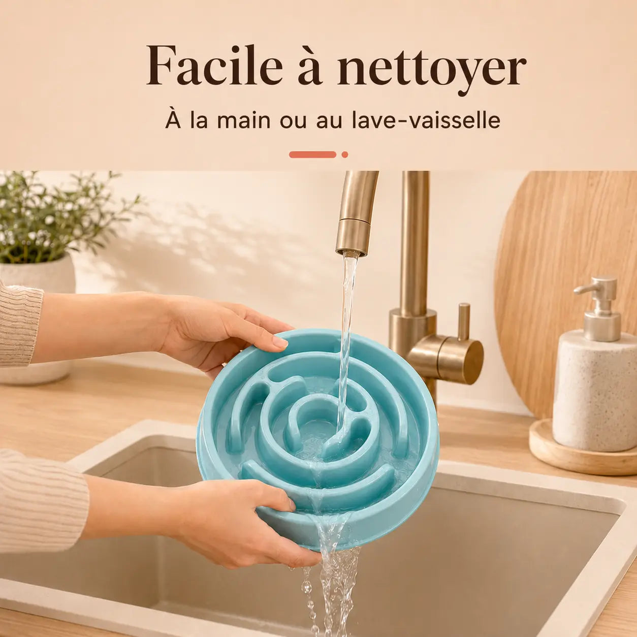 Gamelle anti-glouton