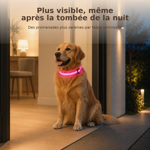 Collier Lumineux LED