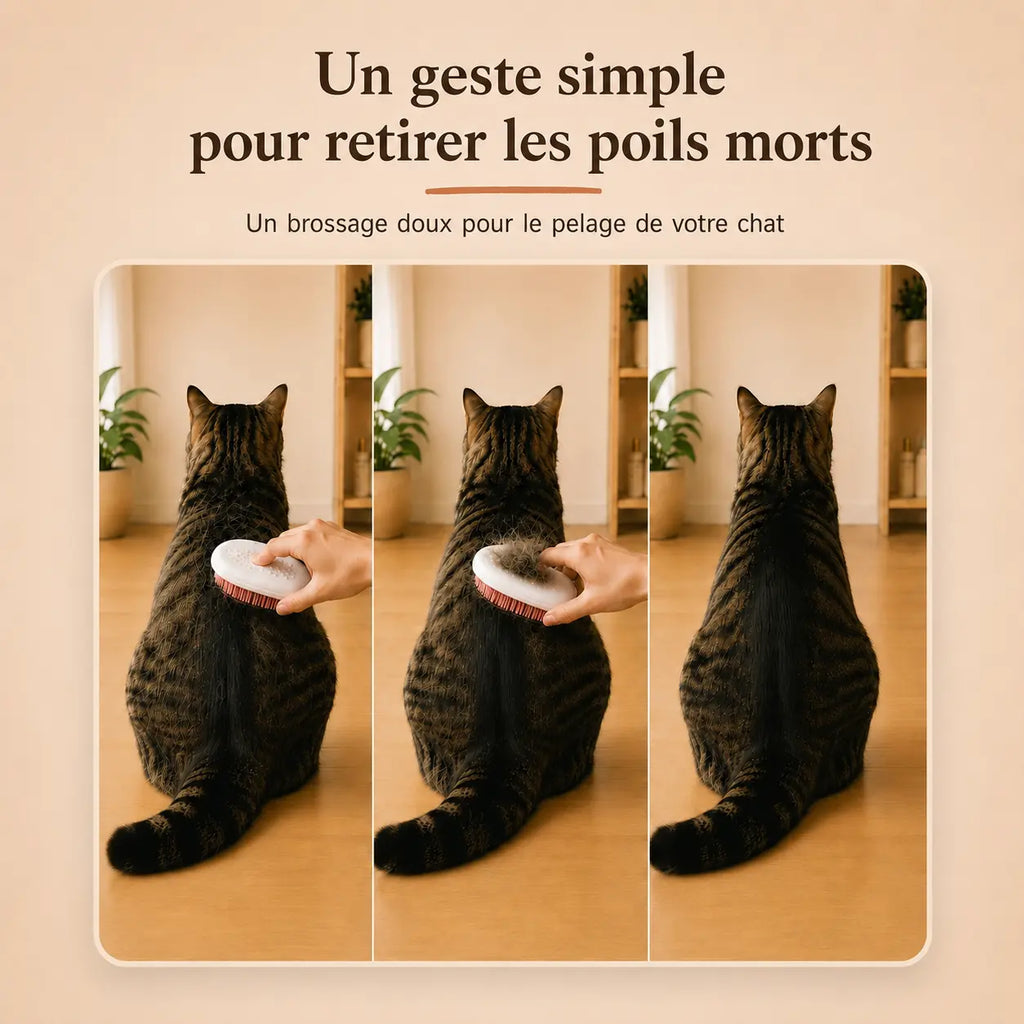 Brosse Anti-Poils
