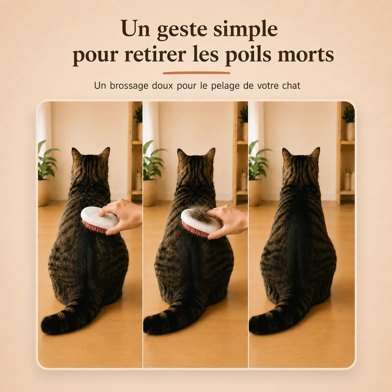 Brosse Anti-Poils
