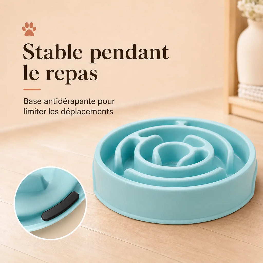 Gamelle anti-glouton