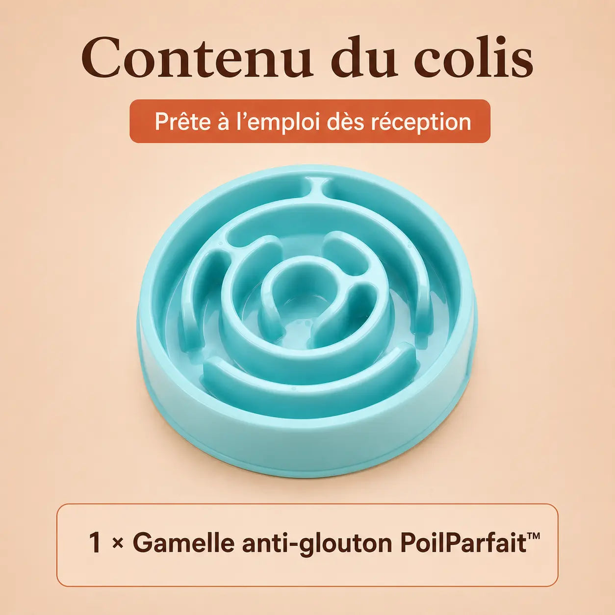 Gamelle anti-glouton