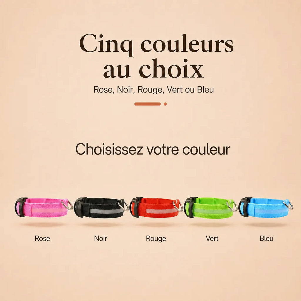 Collier Lumineux LED