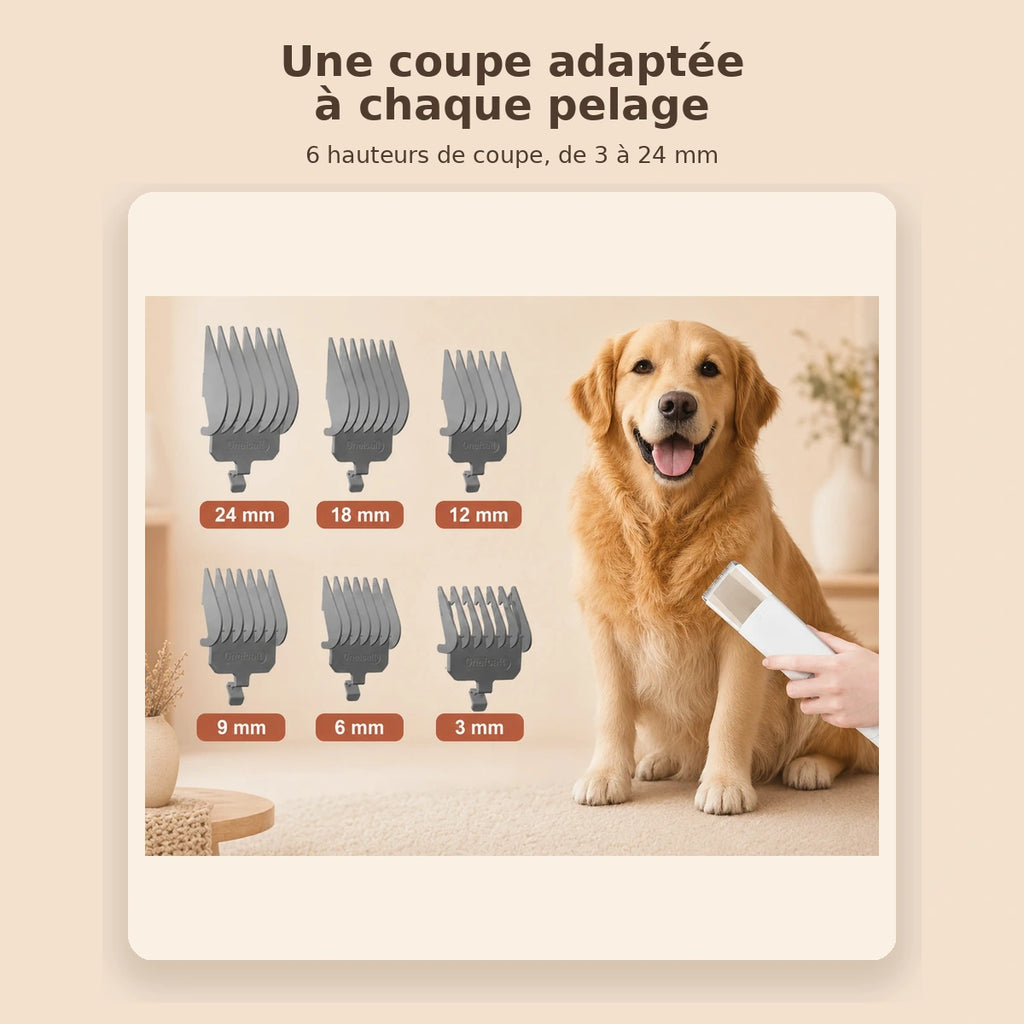 Station de Toilettage Aspirante 7-en-1