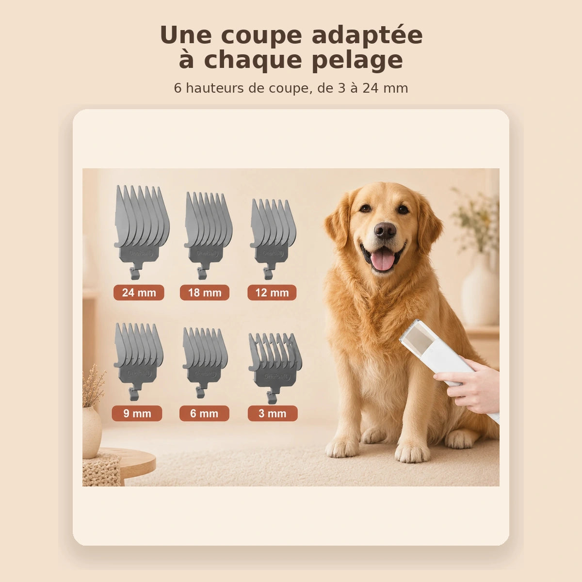 Station de Toilettage Aspirante 7-en-1
