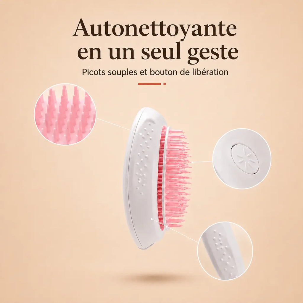 Brosse Anti-Poils