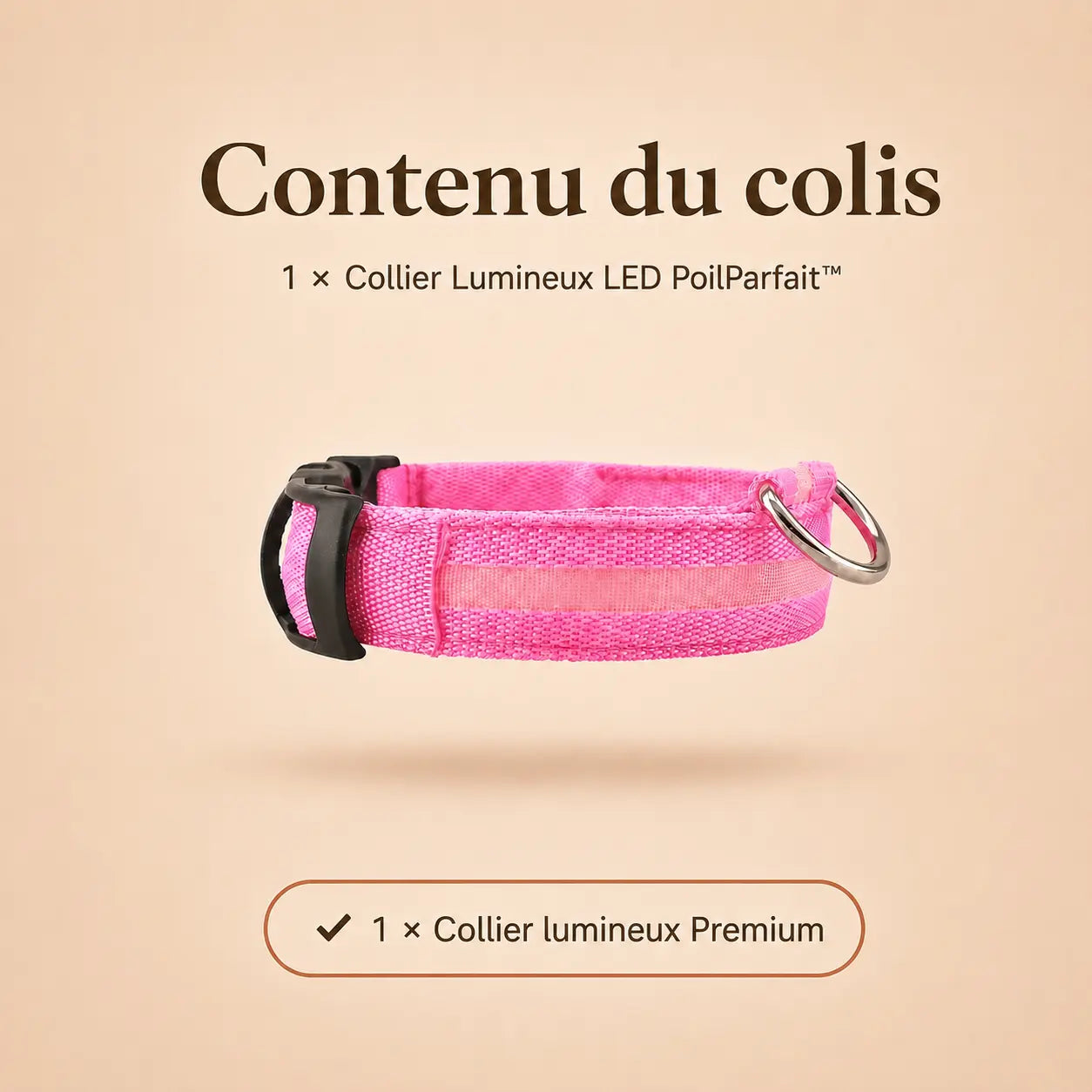 Collier Lumineux LED