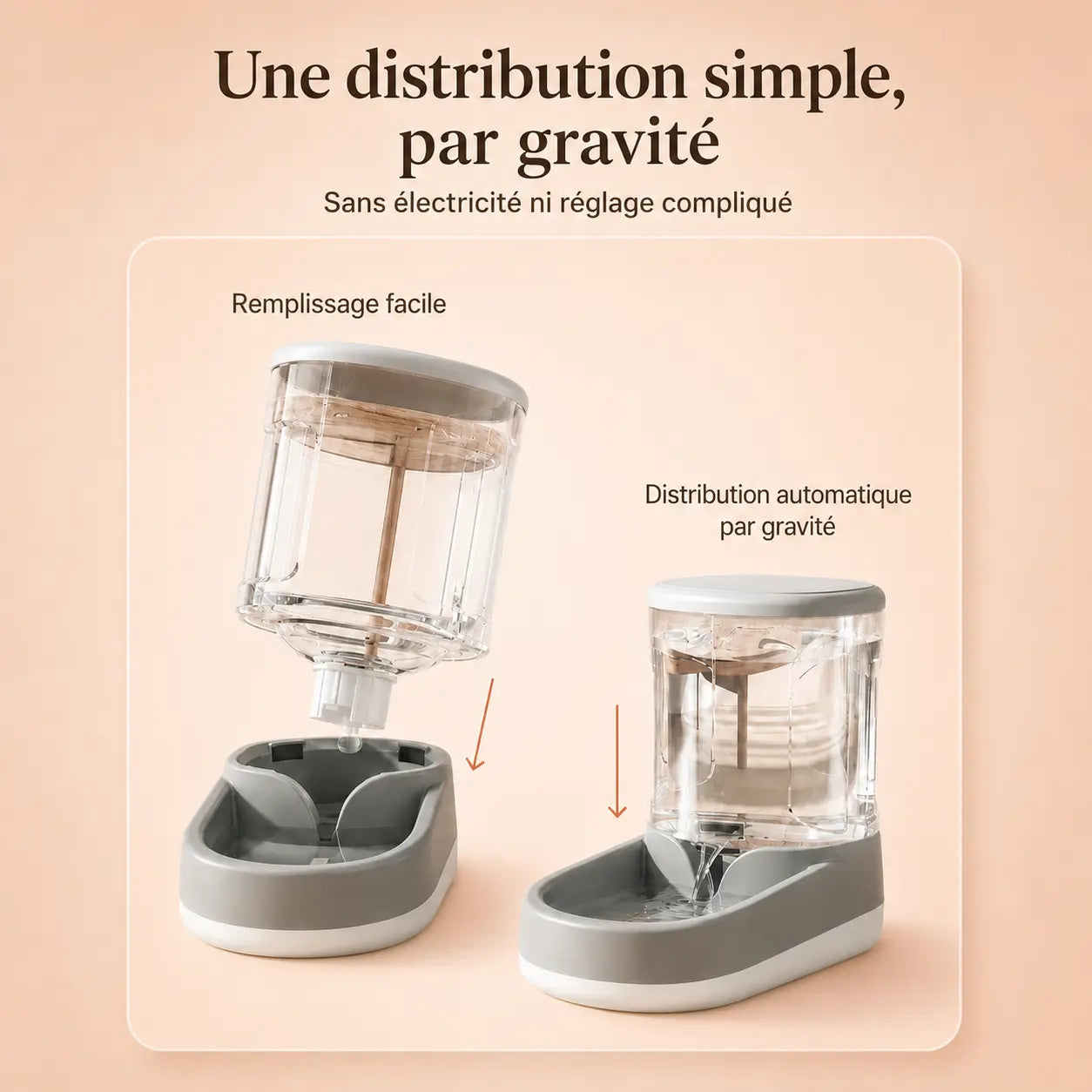Fontaine & Distributeur