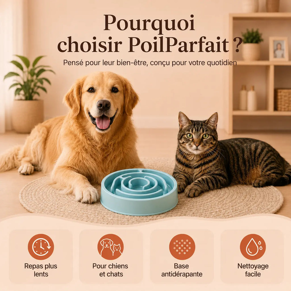 Gamelle anti-glouton