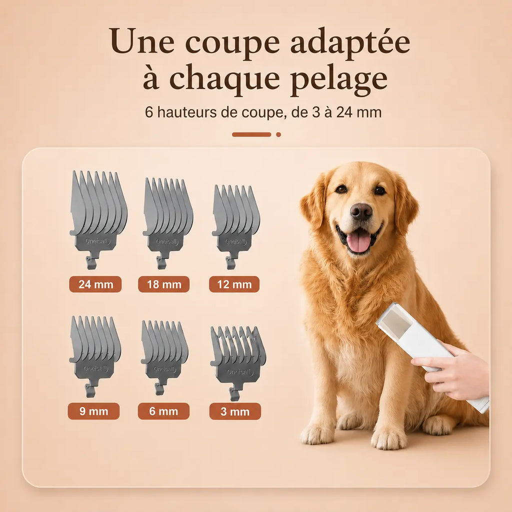 Station de Toilettage Aspirante 7-en-1