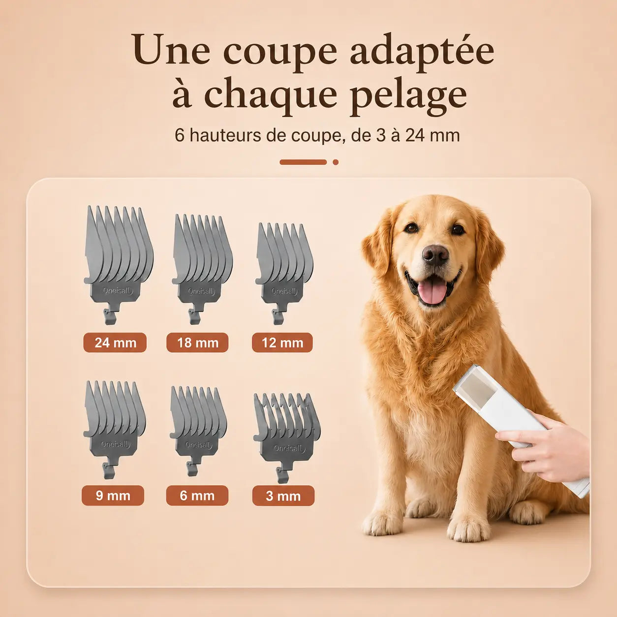 Station de Toilettage Aspirante 7-en-1