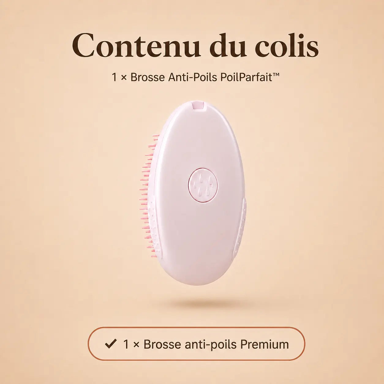 Brosse Anti-Poils