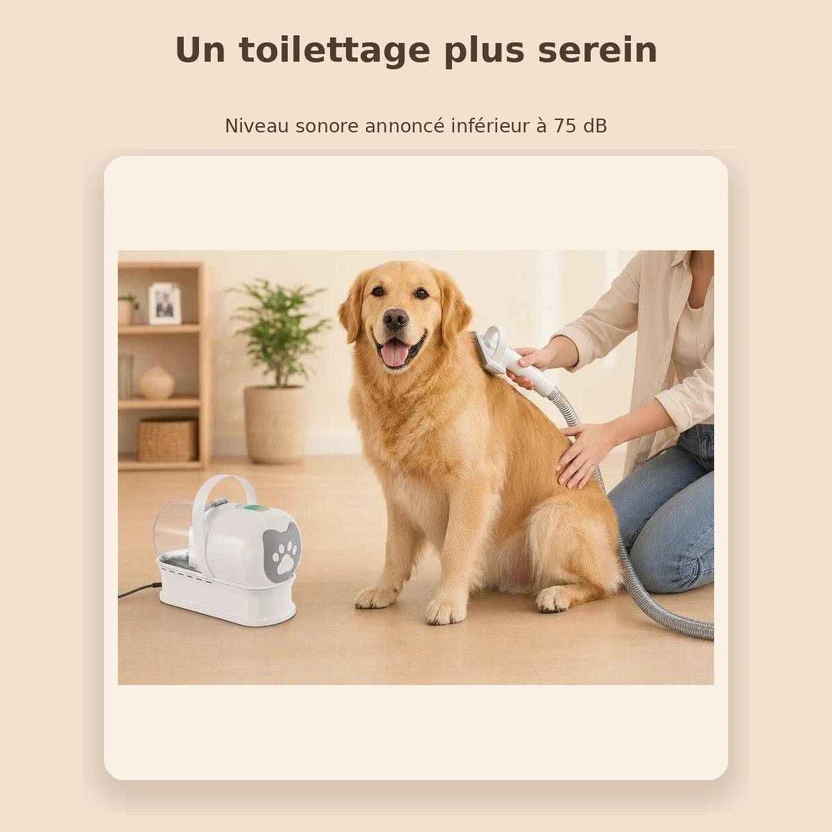 Station de Toilettage Aspirante 7-en-1