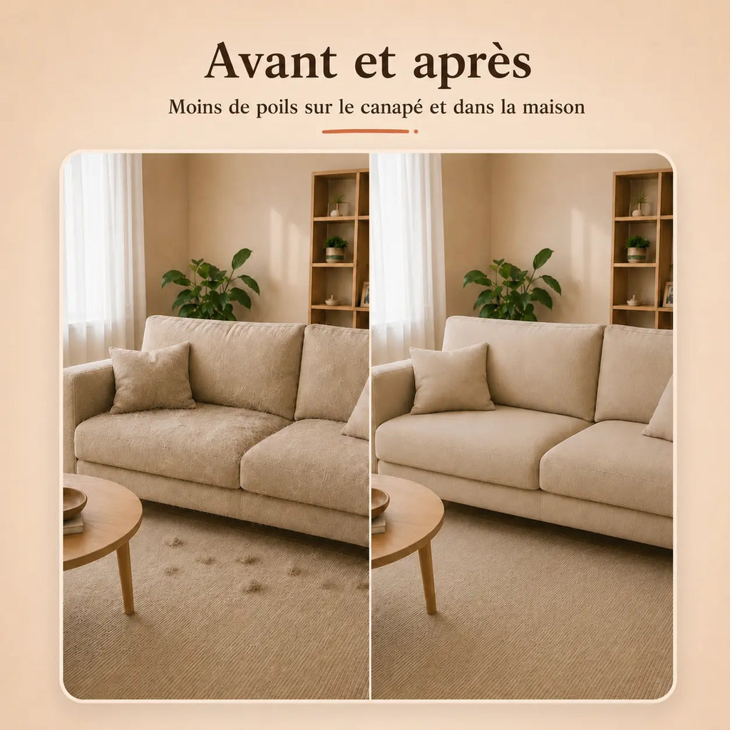 Brosse Anti-Poils