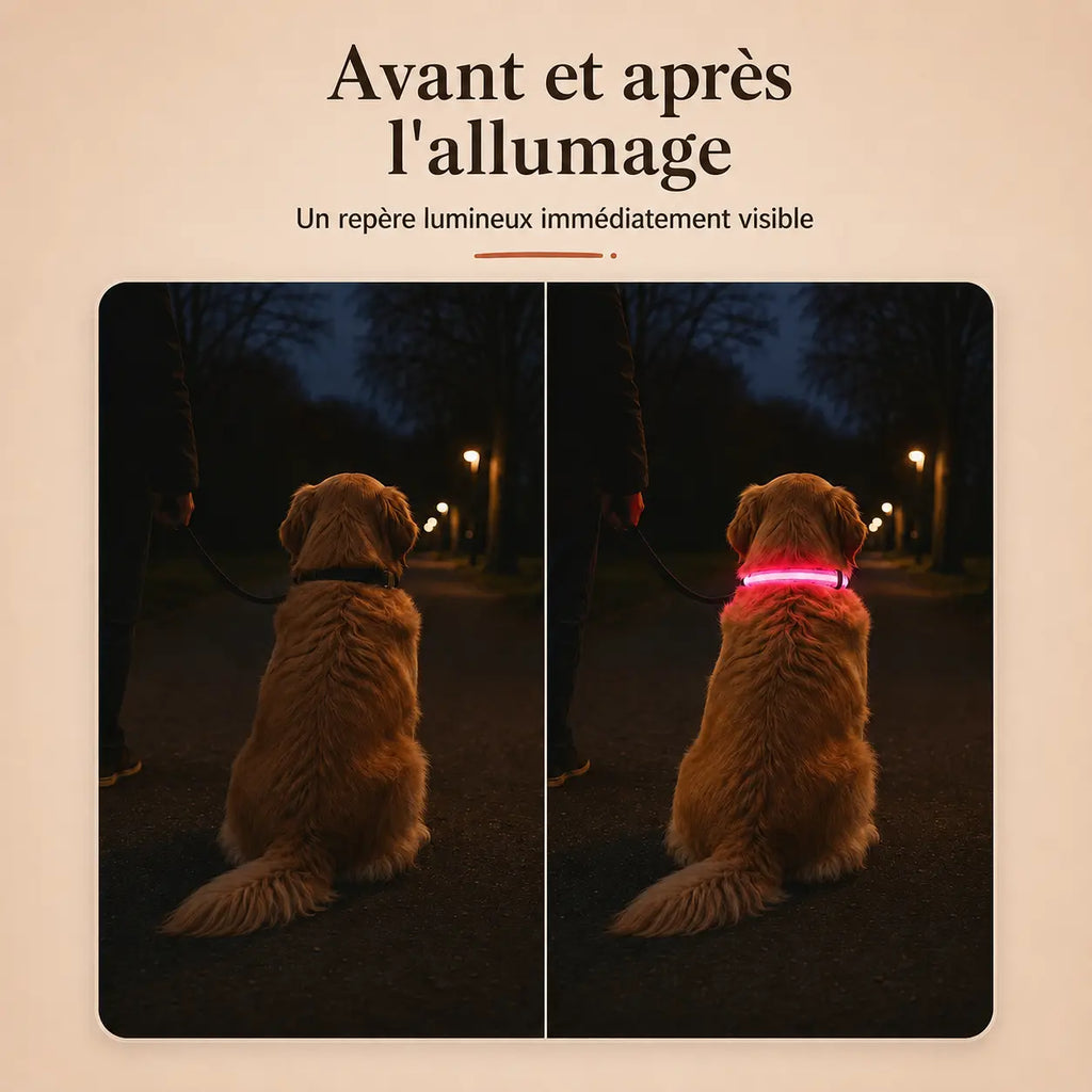 Collier Lumineux LED