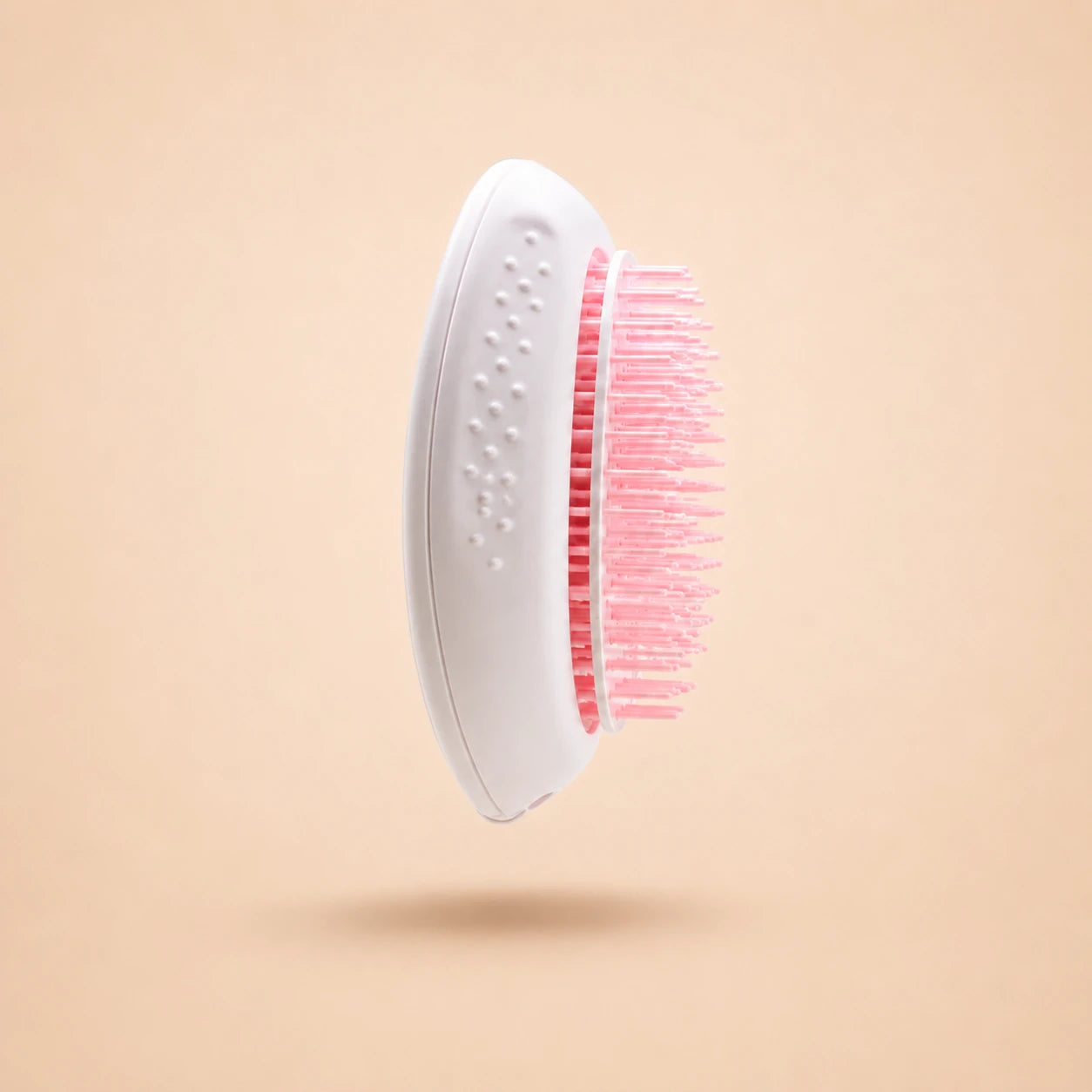 Brosse Anti-Poils