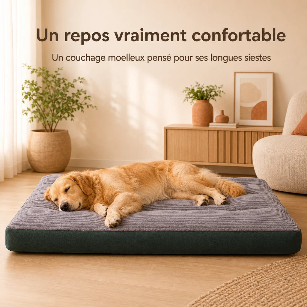 Matelas confort déhoussable pour chien et chat