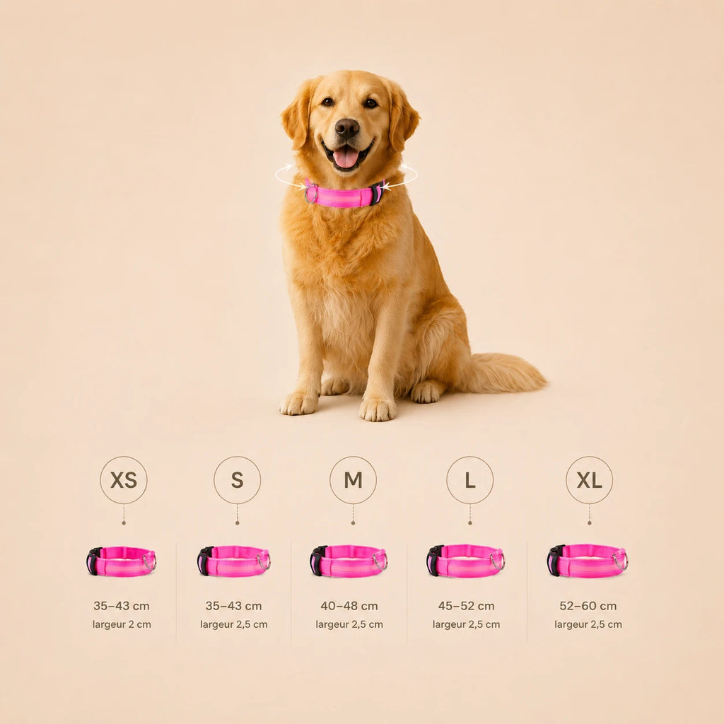 Collier Lumineux LED pour Chien