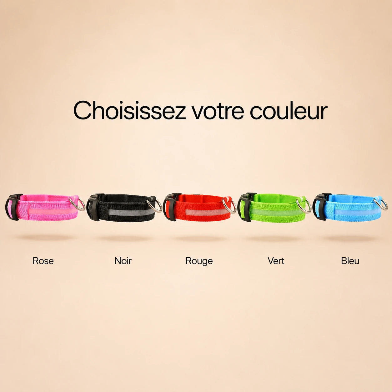Collier Lumineux LED pour Chien