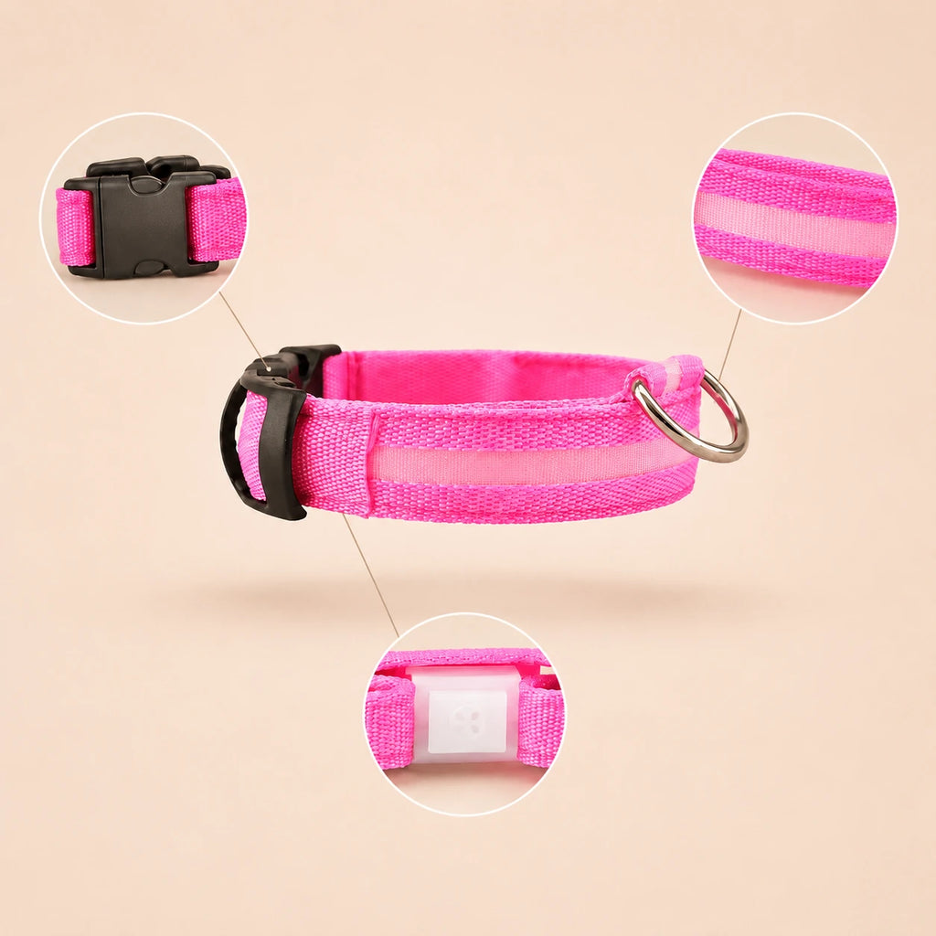 Collier Lumineux LED pour Chien