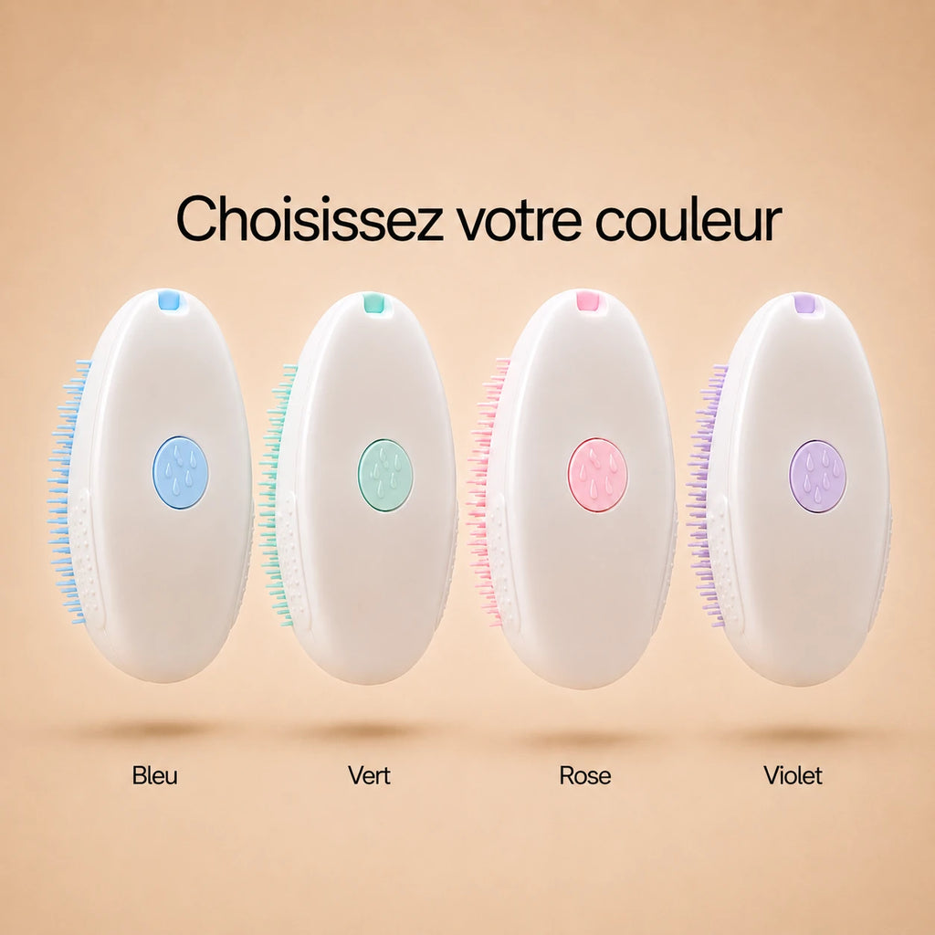 Brosse Anti-Poils