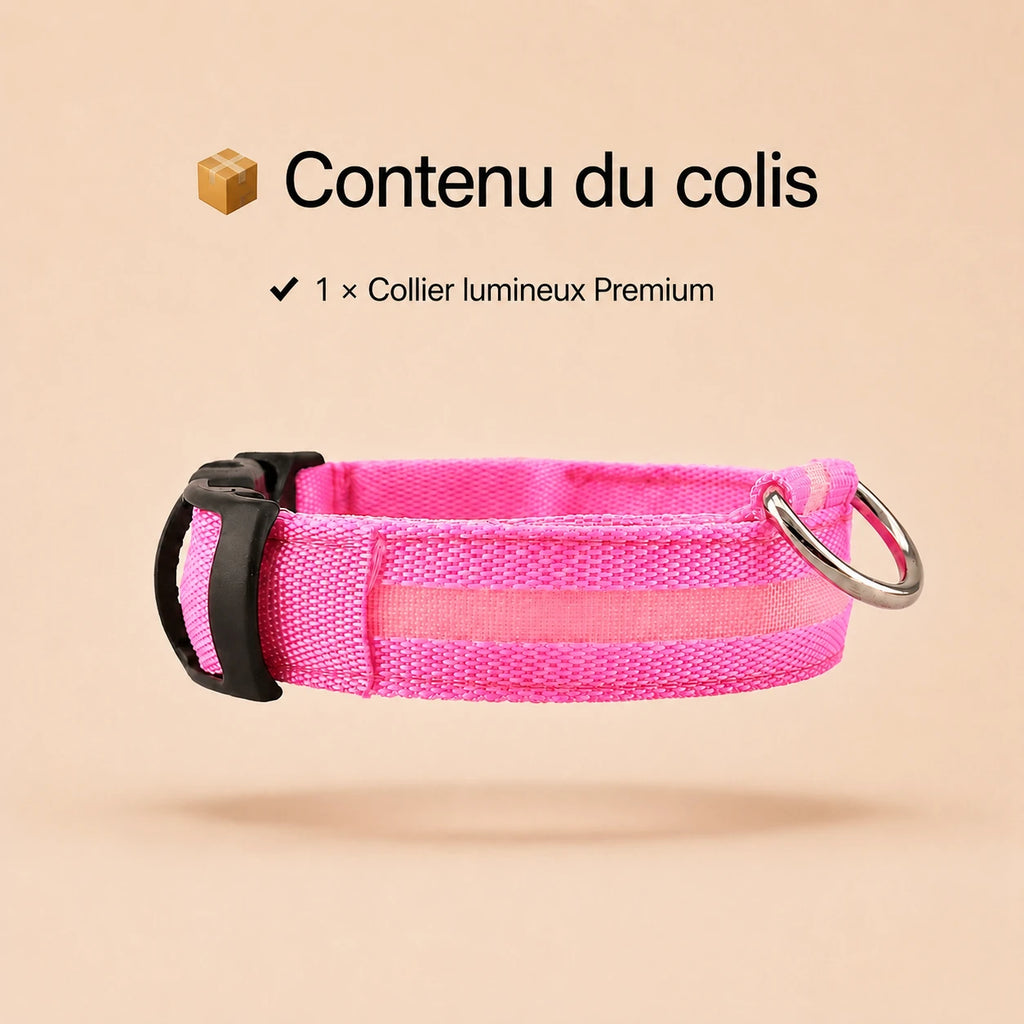 Collier Lumineux LED pour Chien