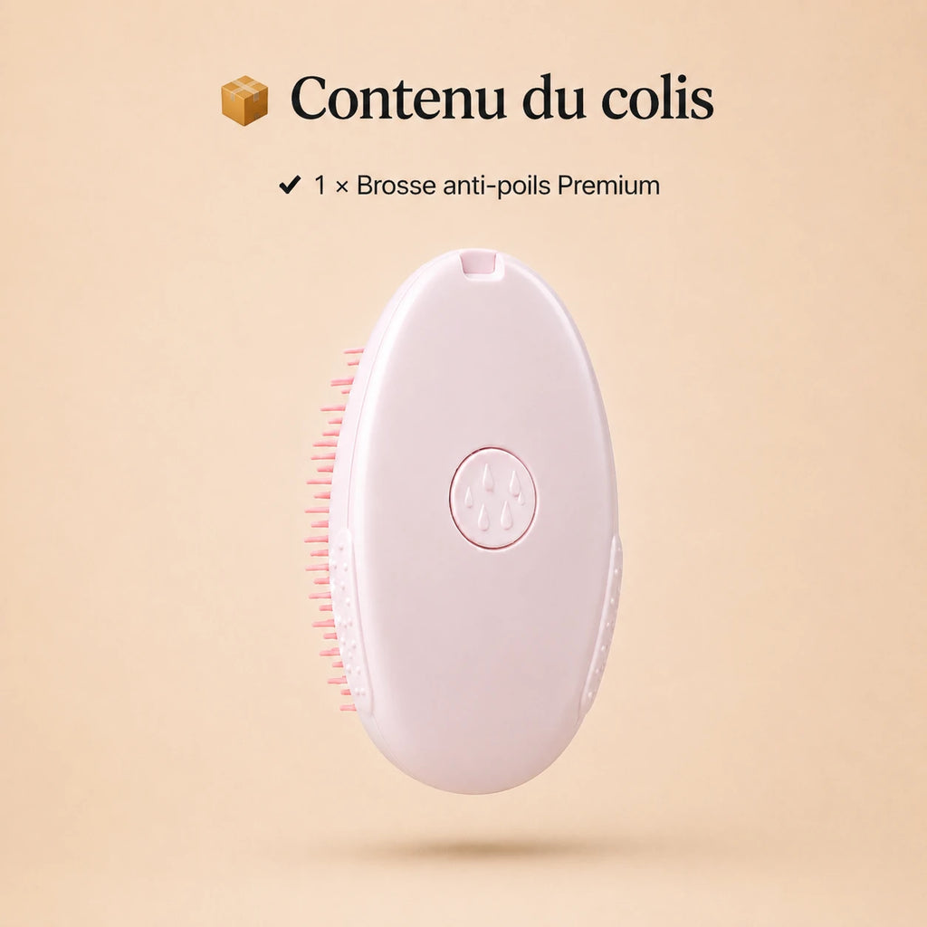 Brosse Anti-Poils