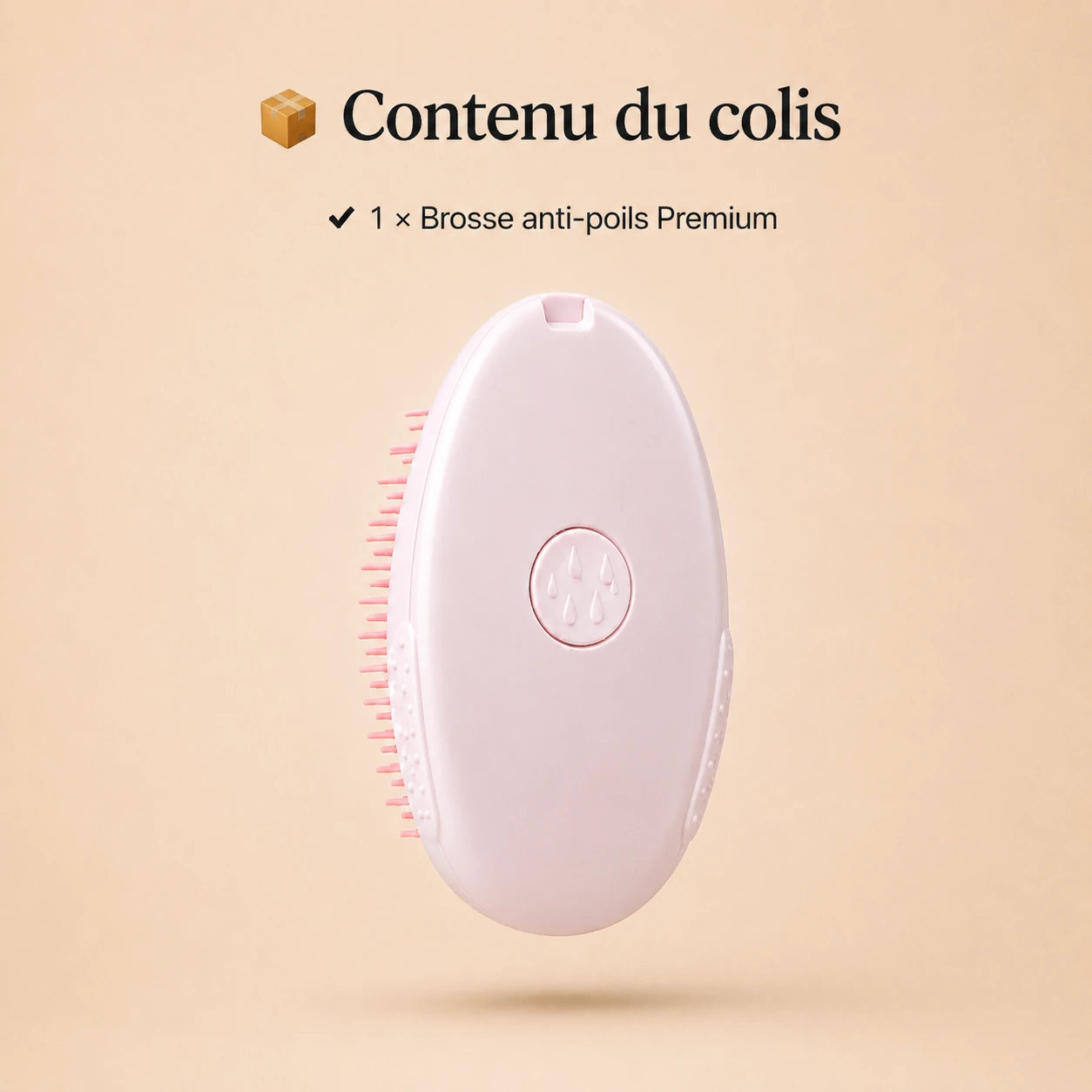 Brosse Anti-Poils