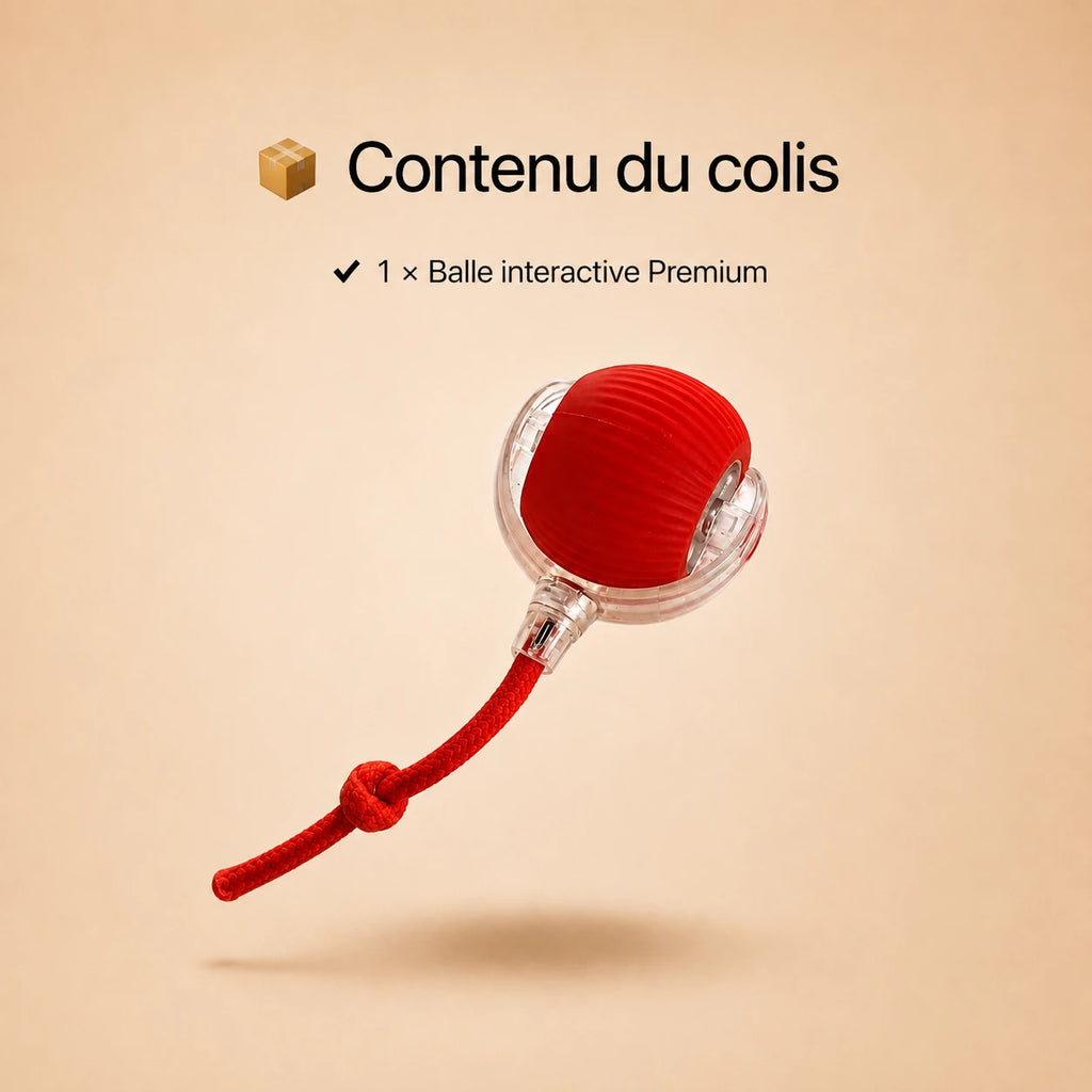 Balle Interactive Intelligente pour Chien et Chat