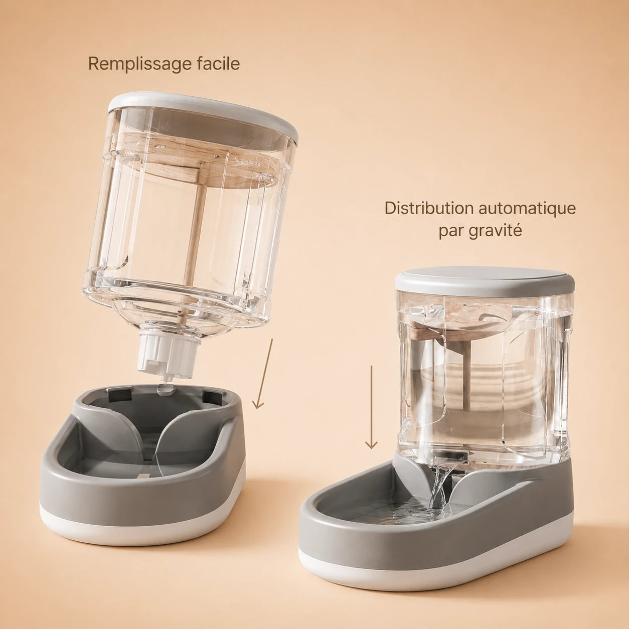 Fontaine et distributeur automatique