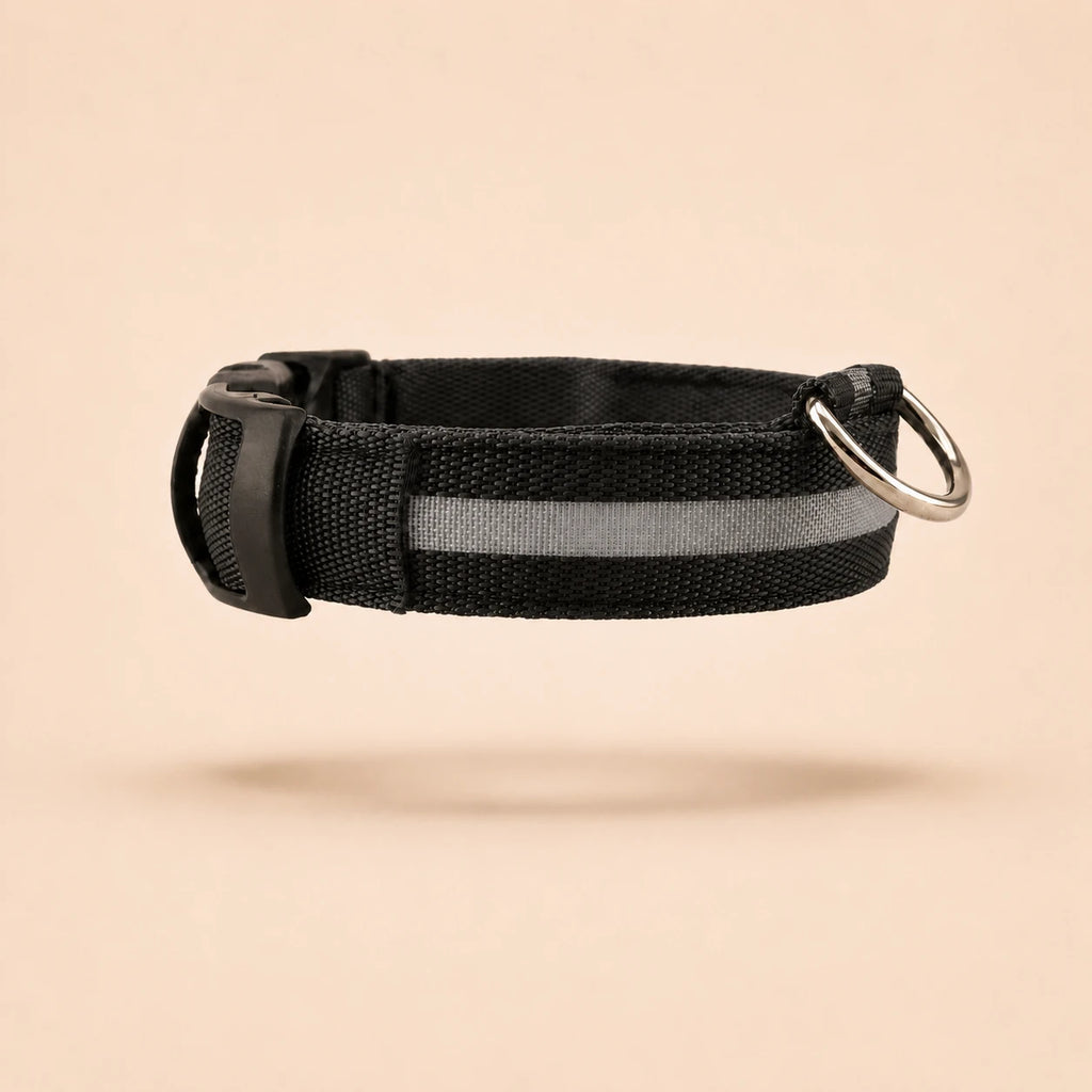 Collier Lumineux LED pour Chien