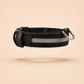 Collier Lumineux LED pour Chien