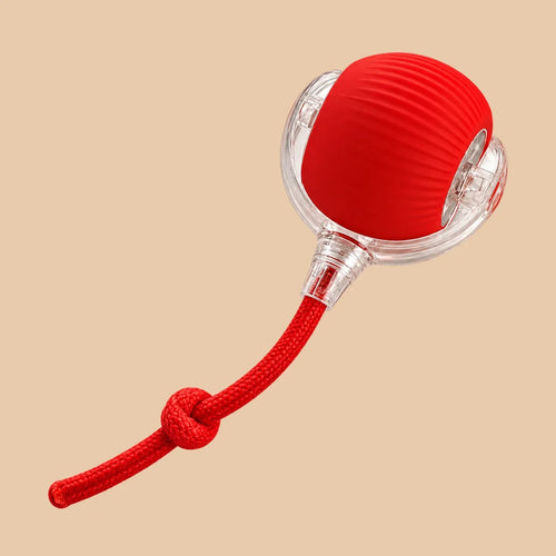 Balle Interactive Intelligente pour Chien — Rouge