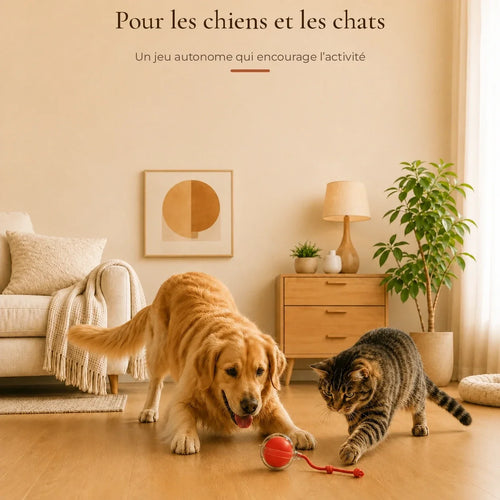 Pour les chiens et les chats — Un jeu autonome qui encourage l’activité