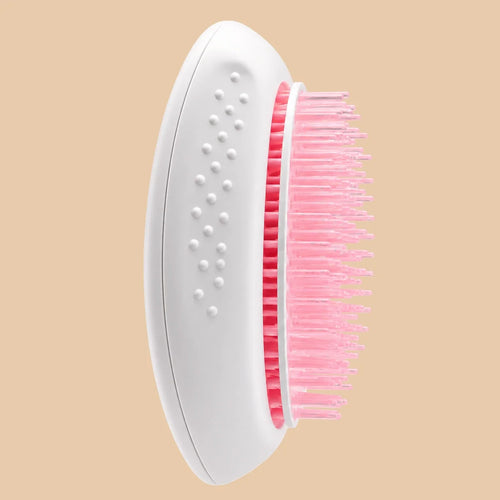 Brosse Anti-Poils Auto-Nettoyante — Vue principale