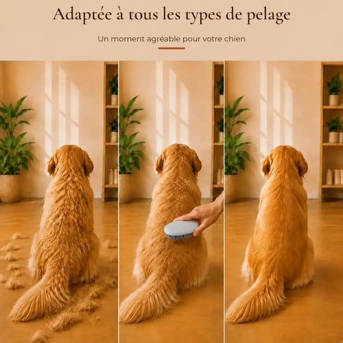 Adaptée à tous les types de pelage — Brossage du chien avec poils retirés
