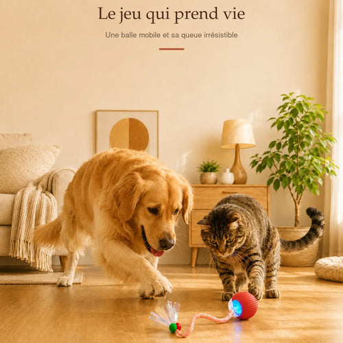 Balle interactive à queue PoilParfait — le jeu qui prend vie
