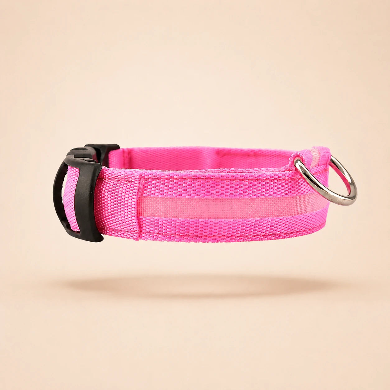Collier Lumineux LED pour Chien