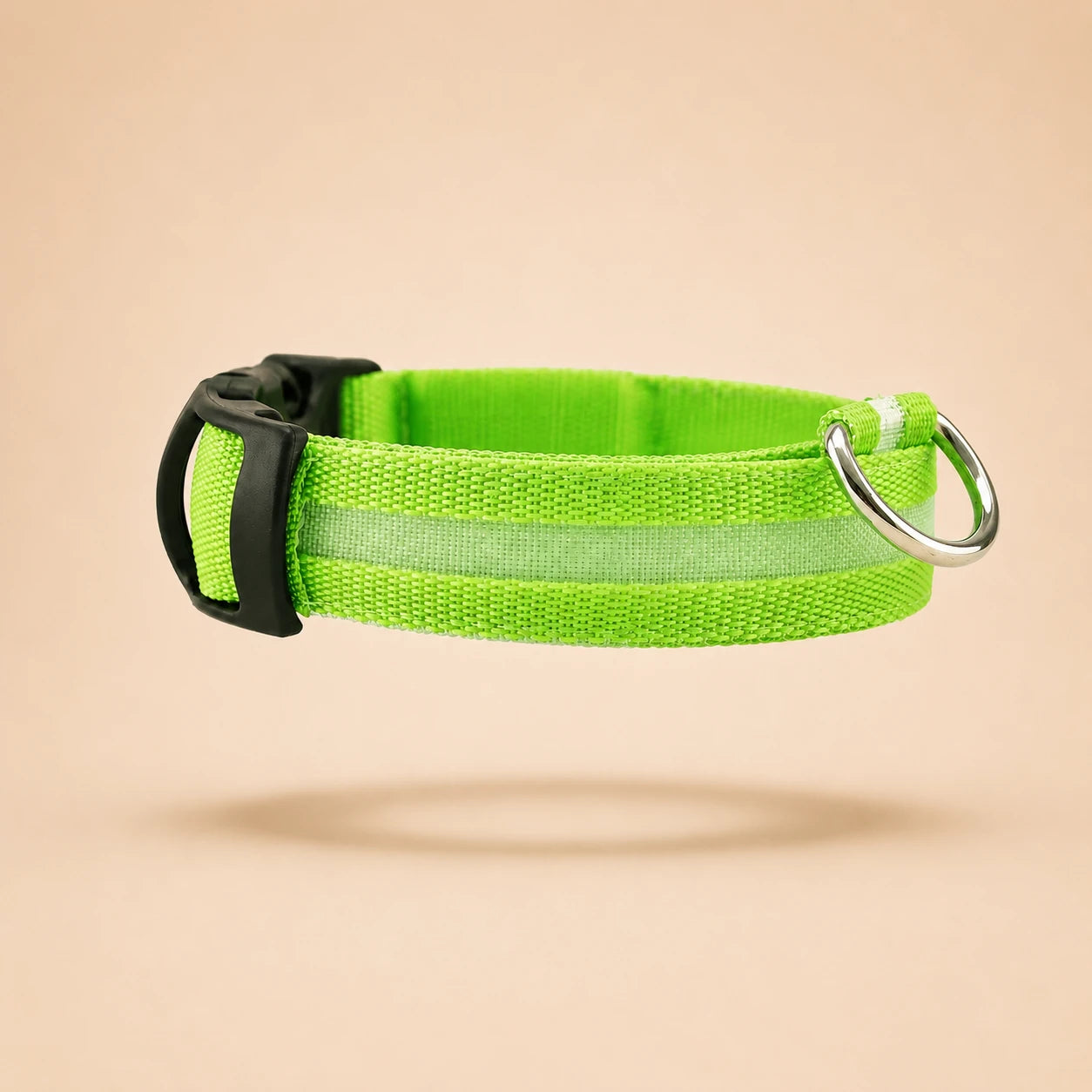 Collier Lumineux LED pour Chien